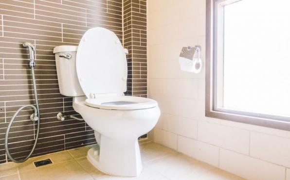 پرفروش ترین برندهای توالت فرنگی در کشور
