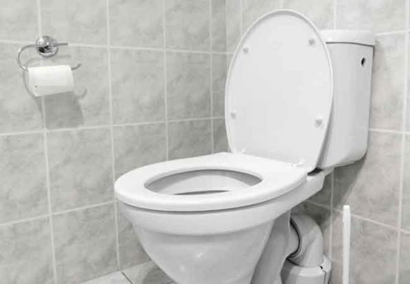 پخش کلی توالت فرنگی در بازار داخلی